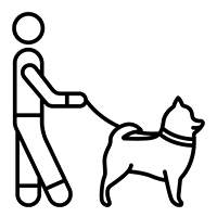 κ9 citizen εκπαιδευτήριο σκύλων στον διόνυσο